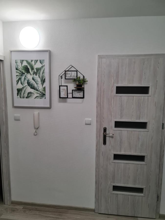 Apartament Nova Przy S3 Nowa Sol Ngoại thất bức ảnh